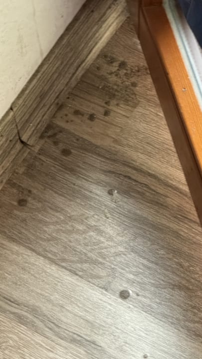 Zimmer Ferienzimmer Healing und Montuerwohnung