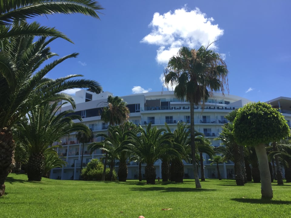 Gartenanlage Hotel Riu Palace Tenerife