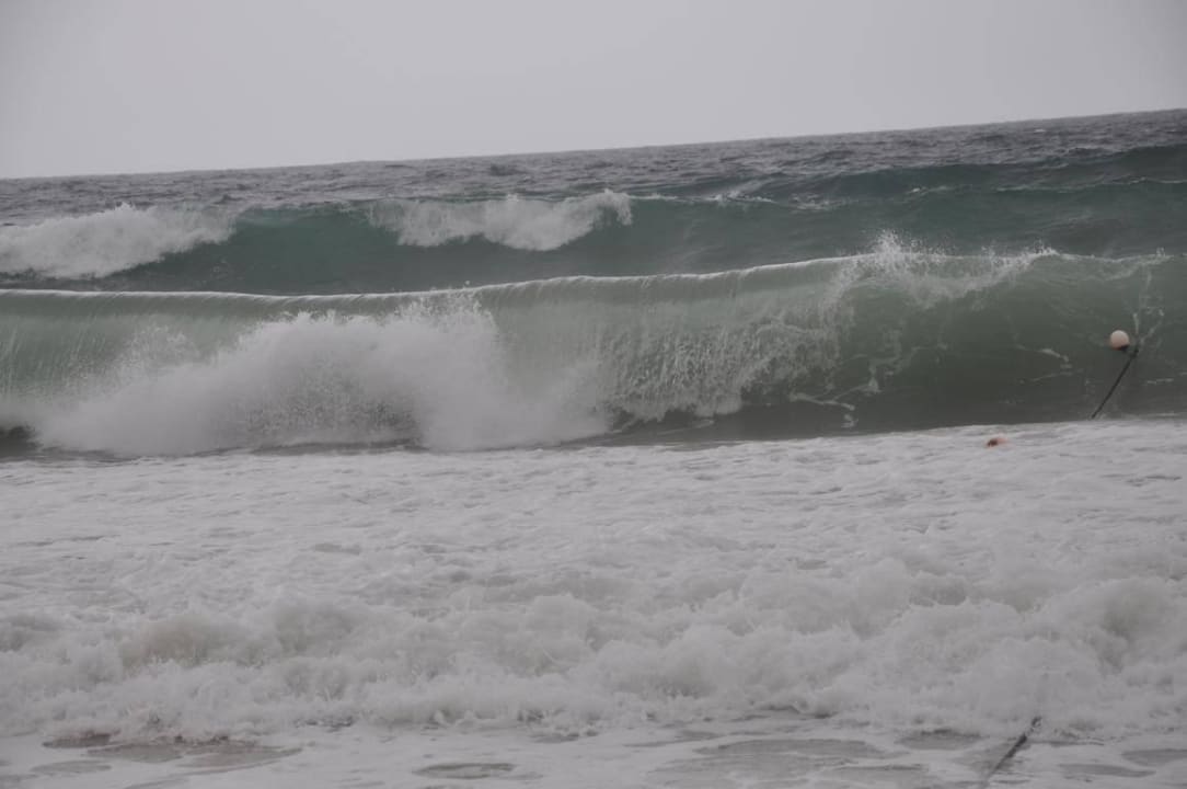 Manchmal ziemlich stürmisch Miramar Al Aqah Beach Resort