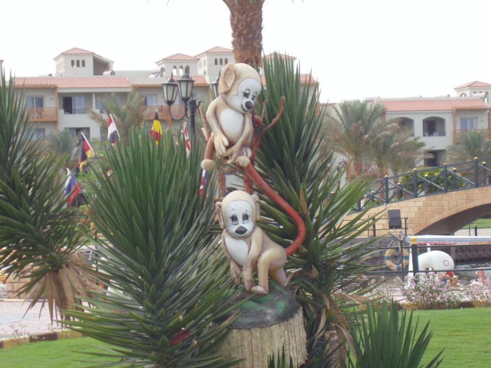 Deko Pickalbatros Dana Beach Resort - Hurghada