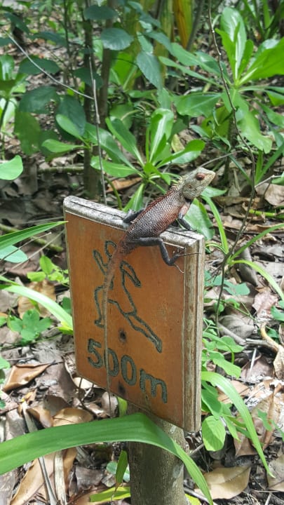 Sport & Freizeit NH Collection Maldives Reethi Resort