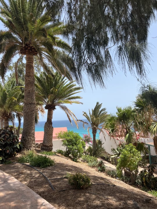 Gartenanlage Aldiana Club Fuerteventura