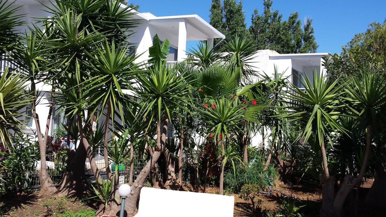 Aussenanlage des Hotels HARPIN Happy Days Beach Hotel