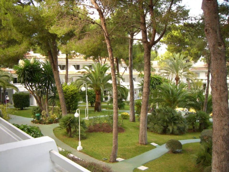 Gartenanlage Pinos Park Iberostar Waves Pinos Park
