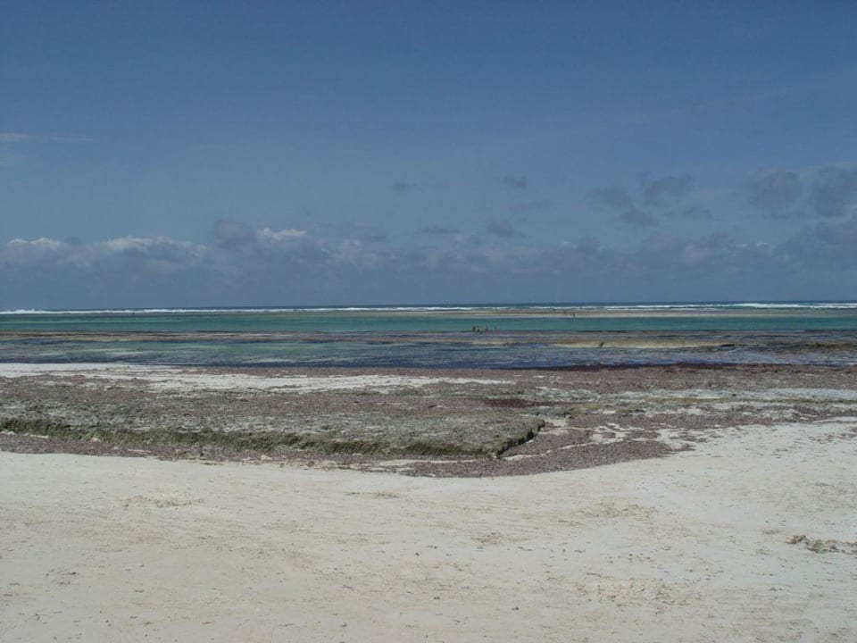 LTI-Kaskazi Beach Hotel Kaskazi Beach Resort