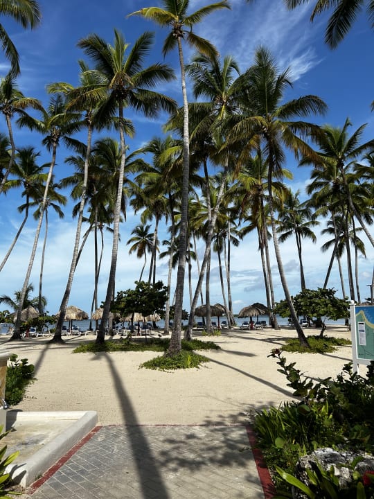 Strand Bahia Principe Luxury Bouganville