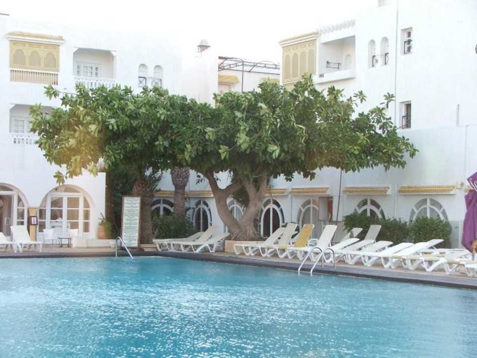 Pod tym drzewkiem jest przyjemnie Alassio Hotel and Thalasso