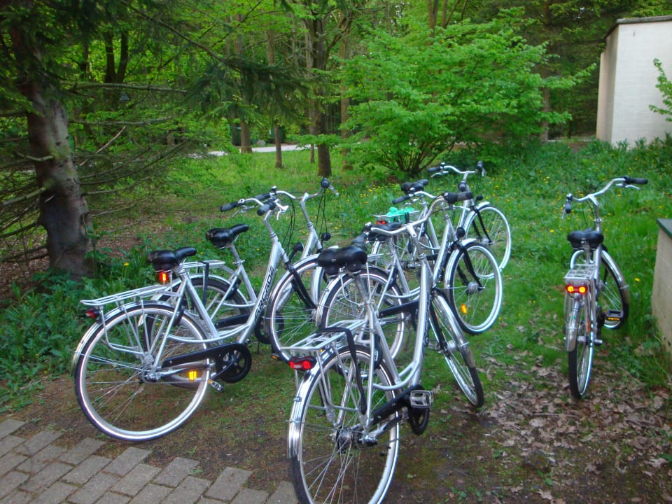 Fahrräder Center Parcs De Eemhof