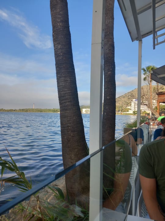 Gastro Alua Boccaccio