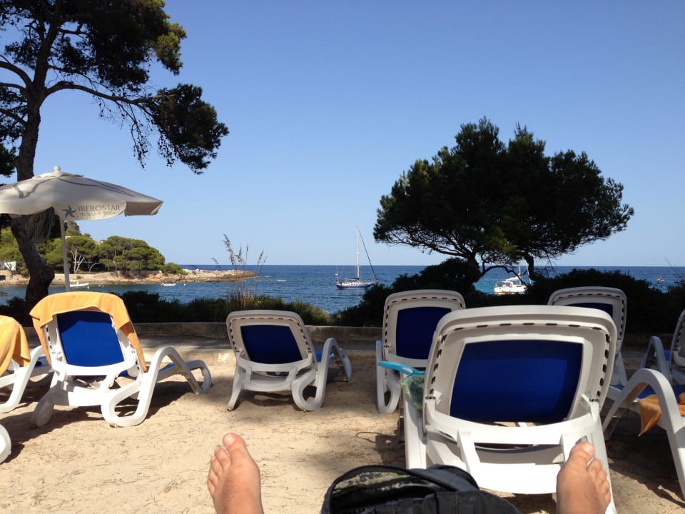 Herrlich Iberostar Waves Pinos Park