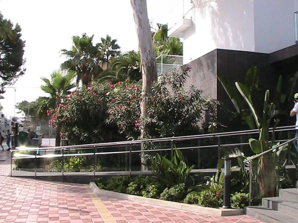 Nordseite Haupteingang Rollstuhlgerecht Hotel Riu San Francisco - Adults only