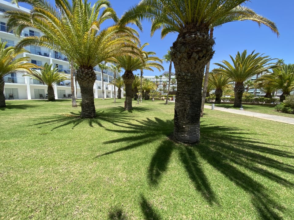 Gartenanlage Hotel Riu Palace Tenerife