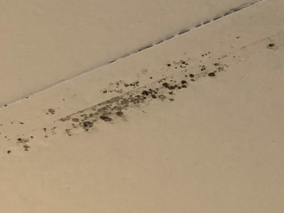 Zimmer AluaSoul Zakynthos - Adults only