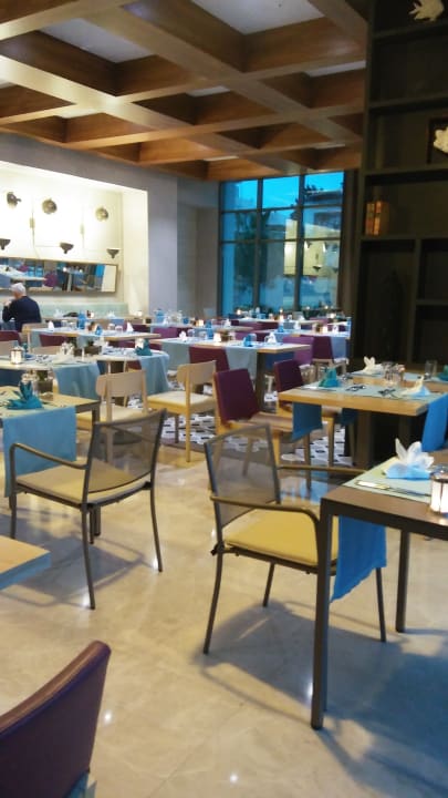 Gastro Acanthus Cennet Barut Collection