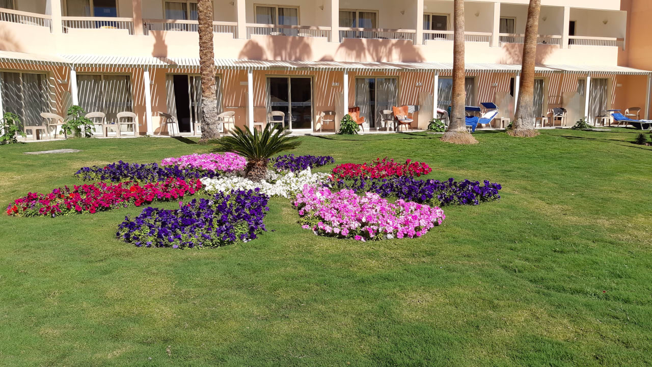 Gartenanlage Beach Albatros Resort