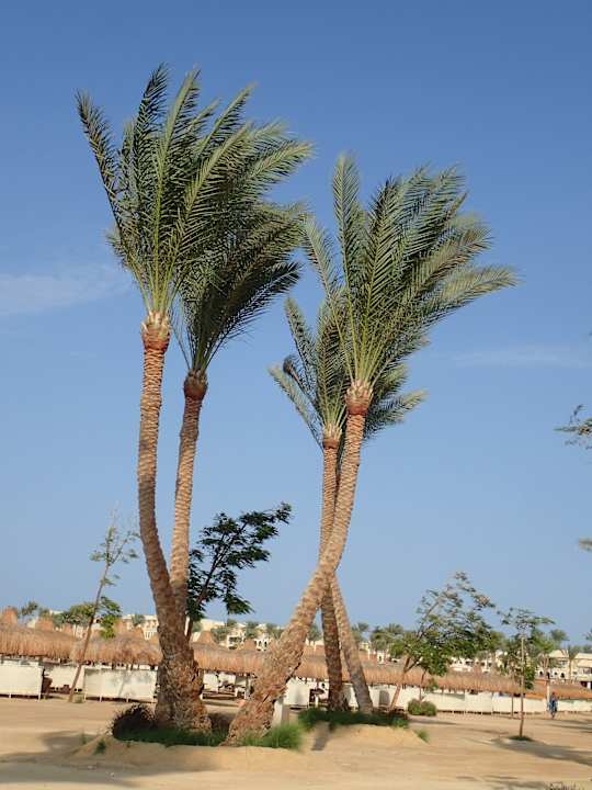 Außenansicht Jaz Solaya