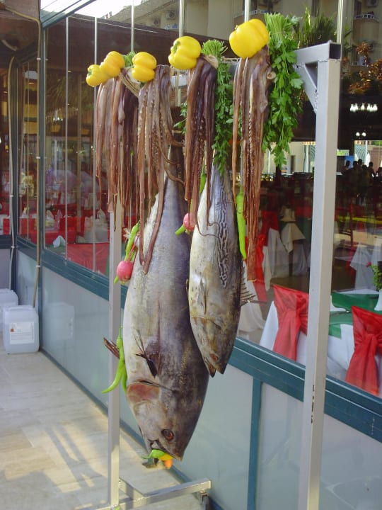 Frischer Fisch Grand Seker Hotel