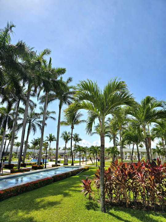 Gartenanlage Hotel Riu Palace Riviera Maya