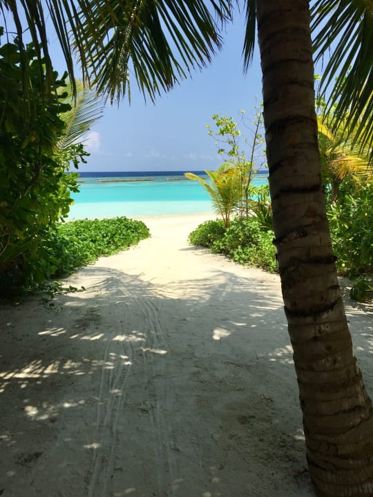 Strand Kuramathi Maldives