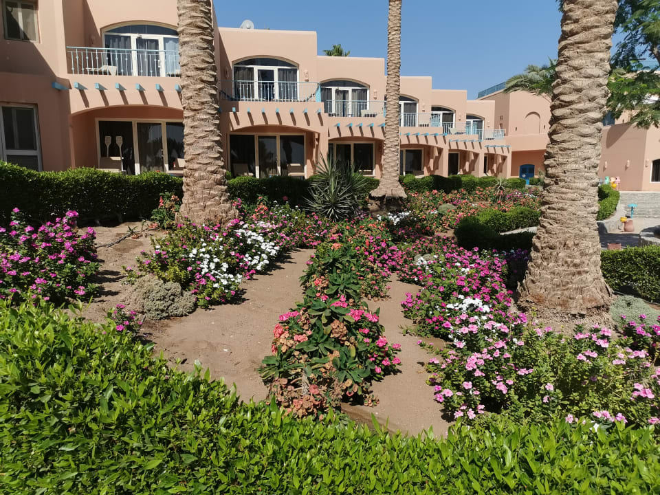 Garten Club Paradisio El Gouna, Red Sea