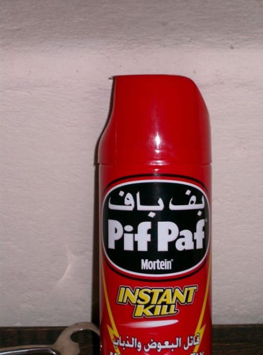 lästige Moskitos Six Senses Spa At Zighy Bay