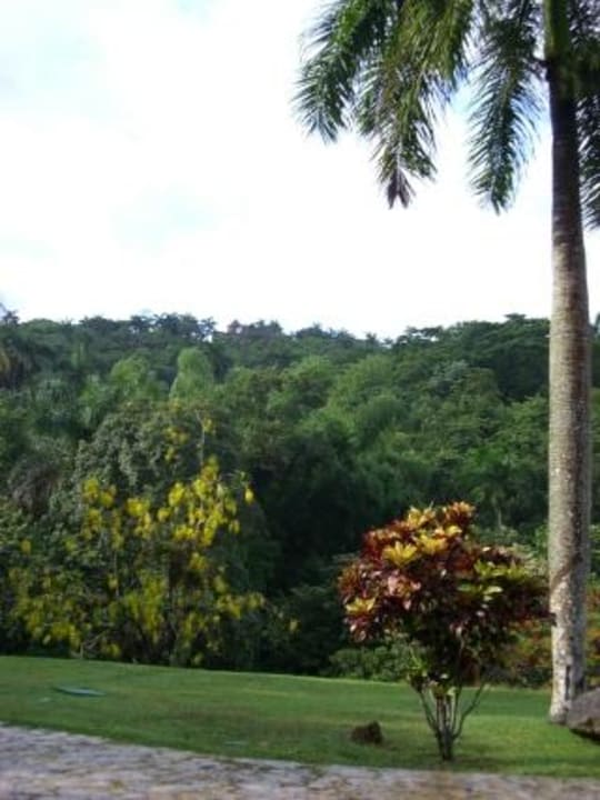 Der Ausblick... Villa Soroa