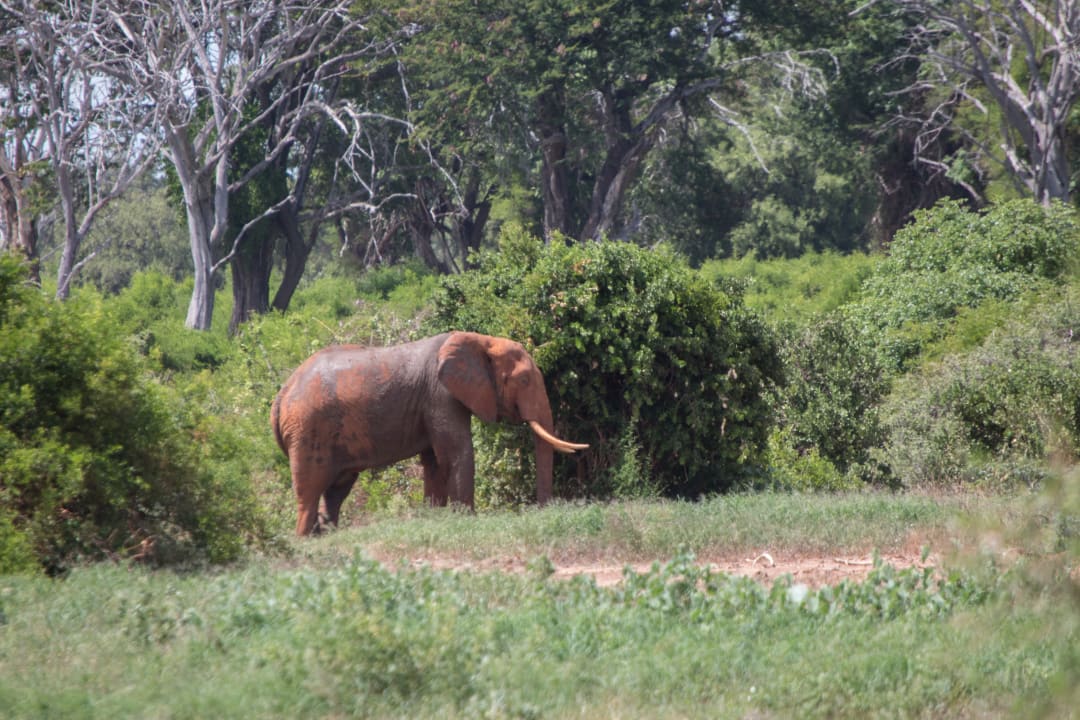 Sport & Freizeit Sentrim Tsavo Lodge