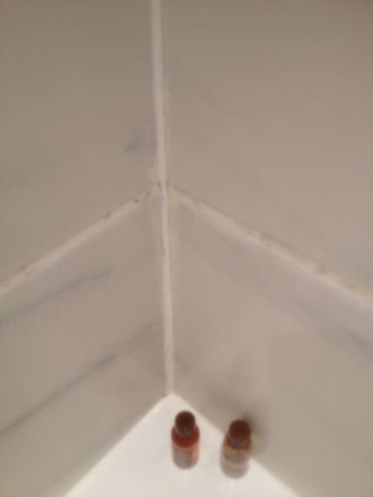 Verschimmelte Fugen Sheraton Heathrow Hotel