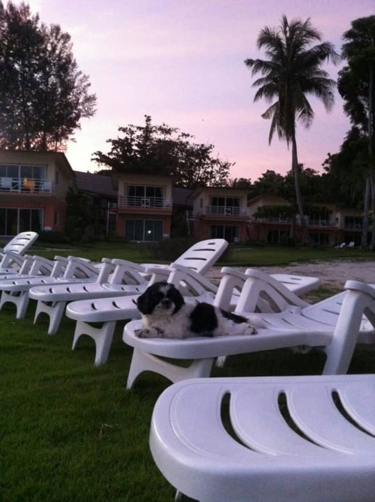 Zone Villa 2 Z-Touch Lipe Island Resort