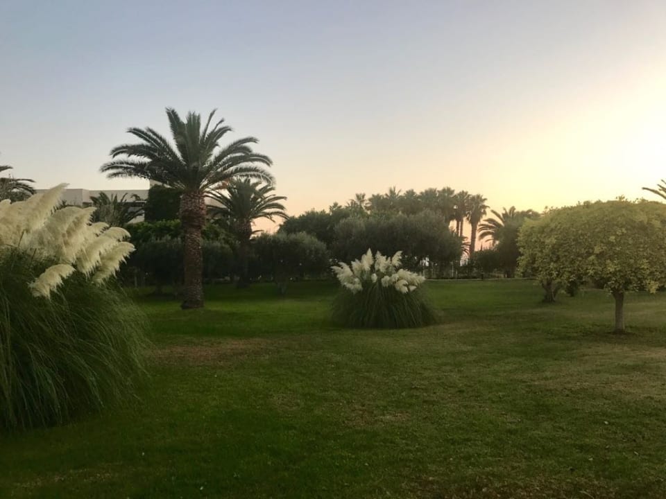 Gartenanlage Lyttos Beach Hotel