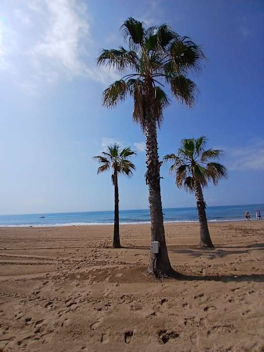 Strand Hotel Süral Resort