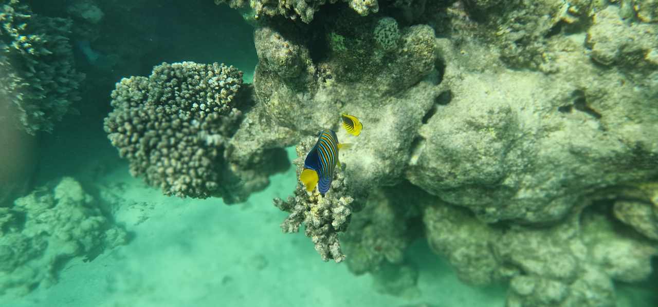 Strand Wadi Lahmy Azur Resort