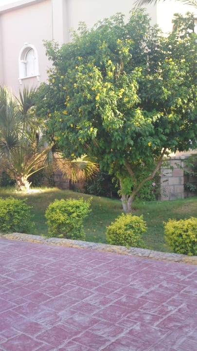 Club Calimera Hurghada Golden Beach Resort