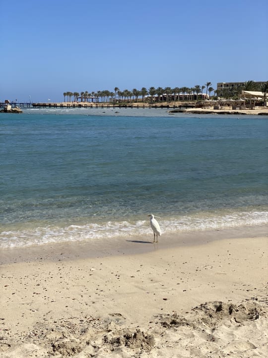 Strand Brayka Bay Resort