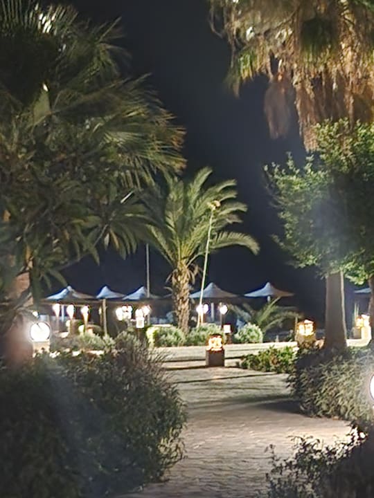 Gartenanlage Shams Alam Beach Resort