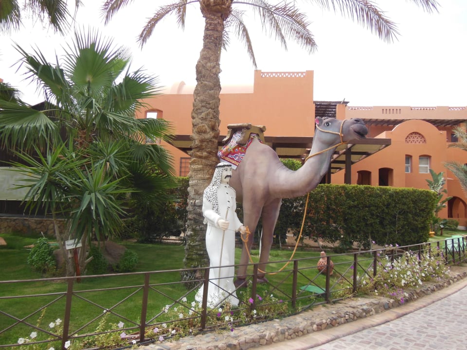 Deko Jaz Makadi Blue - TUI BLUE Makadi - Adults Friendly 16 Years Plus