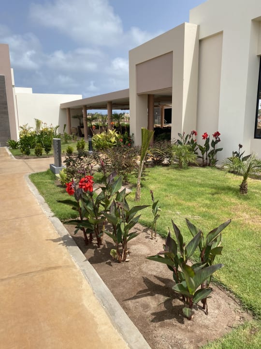 Gartenanlage Hotel Riu Palace Santa Maria