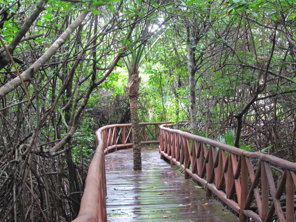 Brücke Iberostar Selection Paraiso Lindo