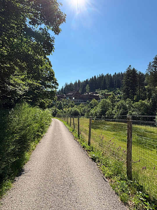 Sport & Freizeit Wellnesshotel Forsthaus Auerhahn