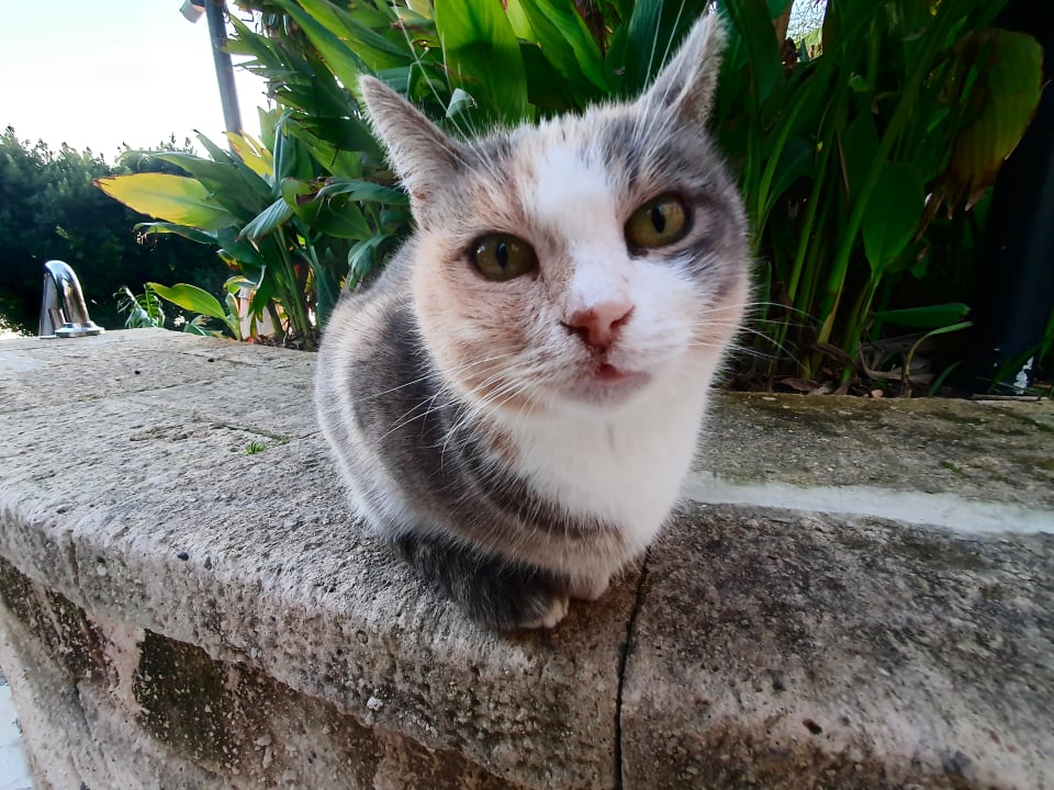 Gartenanlage Melas Resort Hotel