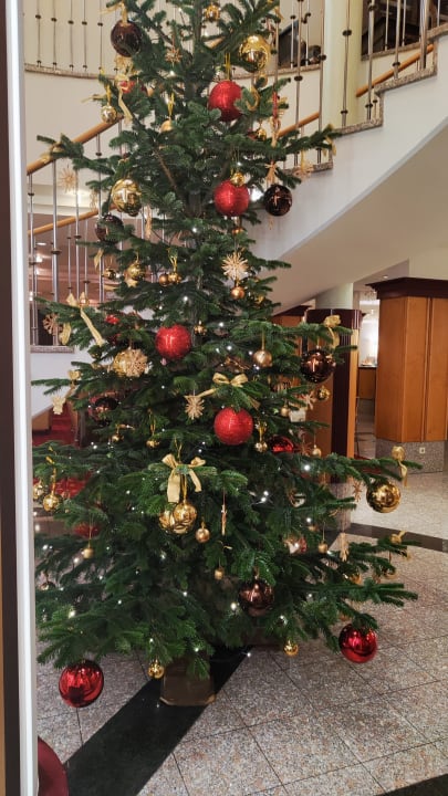 Sonstiges Hotel Schneeberghof