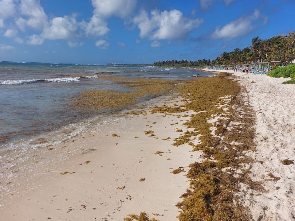 Strand Akumal Bay Beach & Wellness Resort