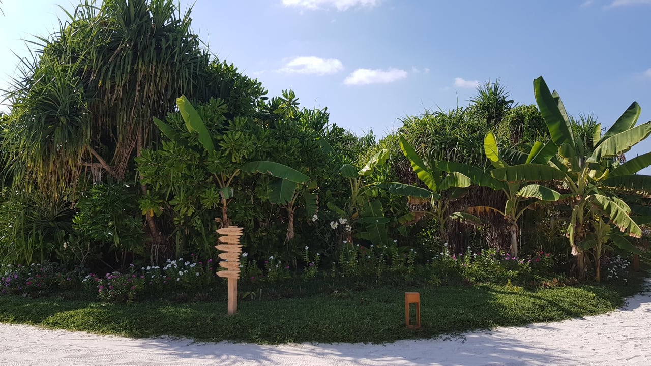 Strand Innahura Maldives Resort