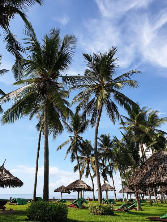 Gartenanlage Neptune Paradise Beach Resort & Spa