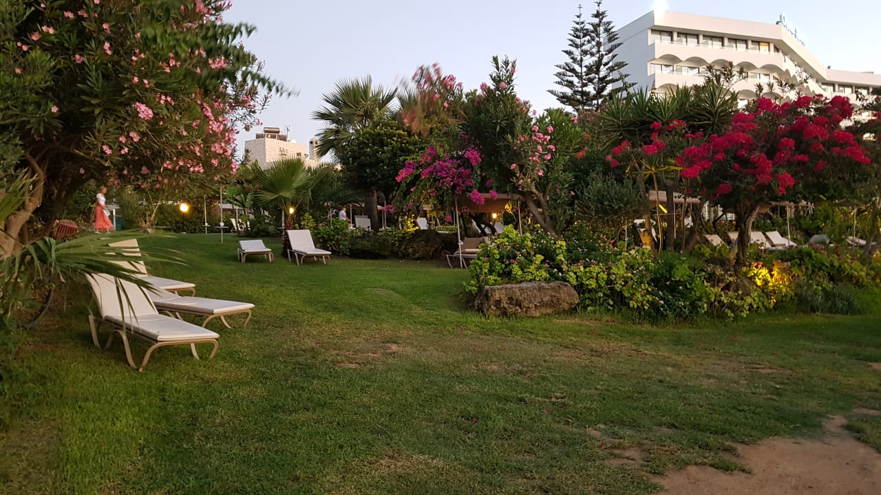 Gartenanlage Crystal Springs Beach Hotel