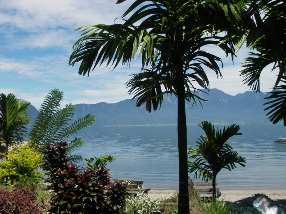 Natur pur Muaro Beach Bungalows