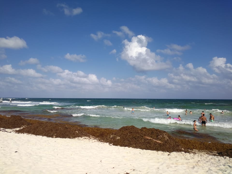 Strand Iberostar Waves Paraiso del Mar