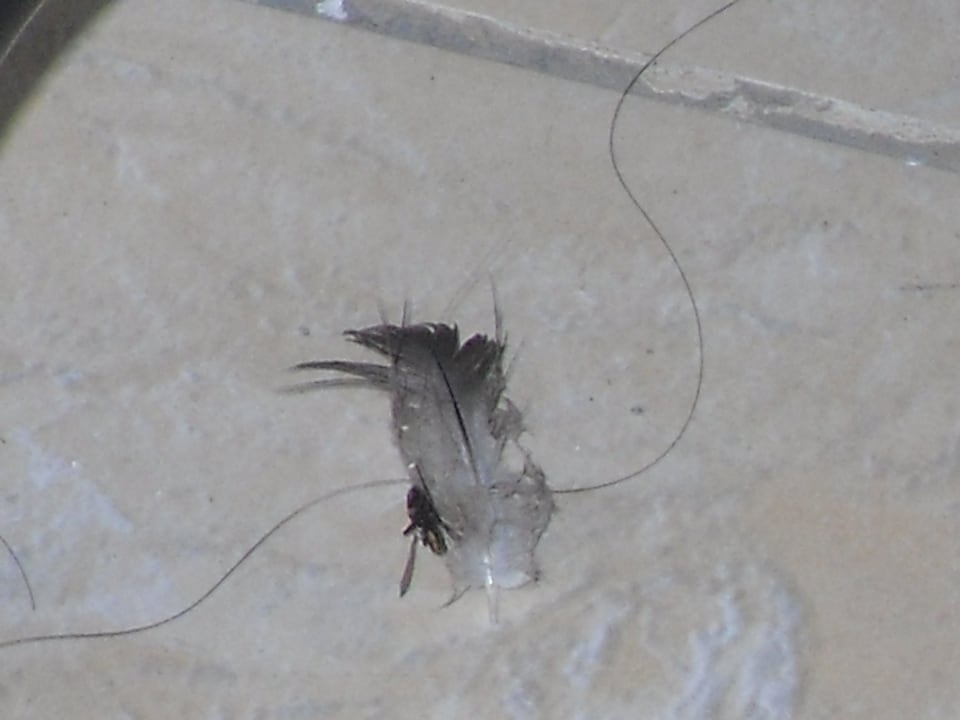 Balkon Kaya Artemis Resort