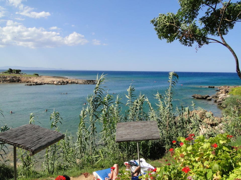 Crystal Springs Beach Hotel Crystal Springs Beach Hotel