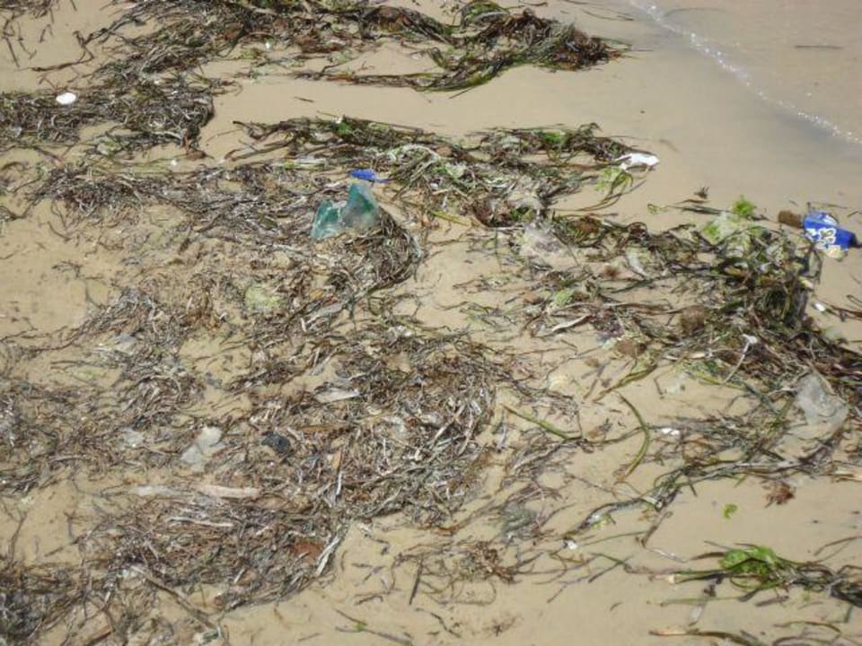 Müll Marhaba Royal Salem